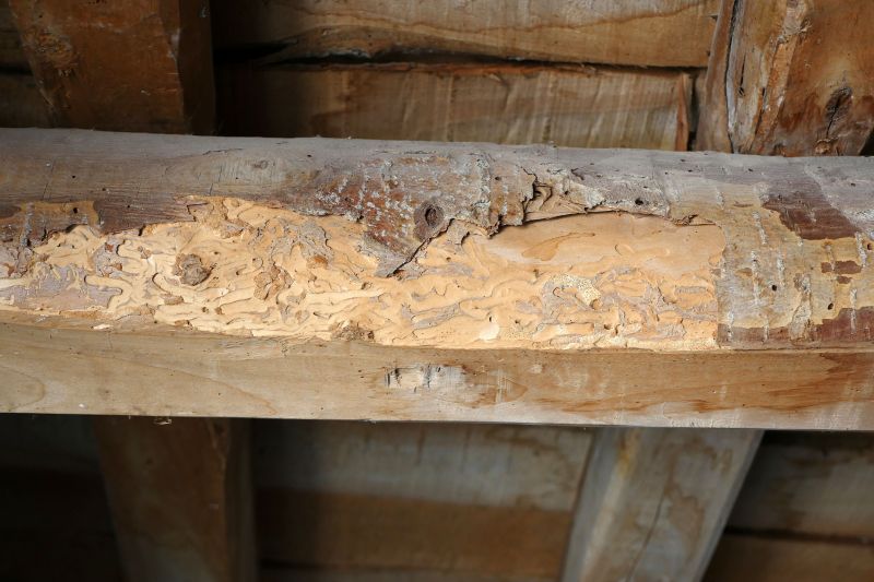Cost of Wood Column Repair — Cost of Wood Column Repair