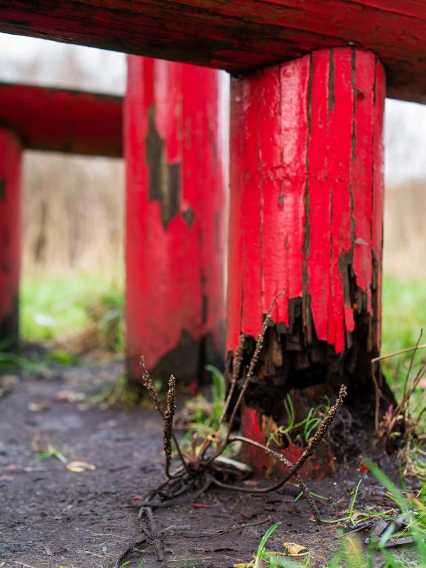 Inspection of Wood Columns